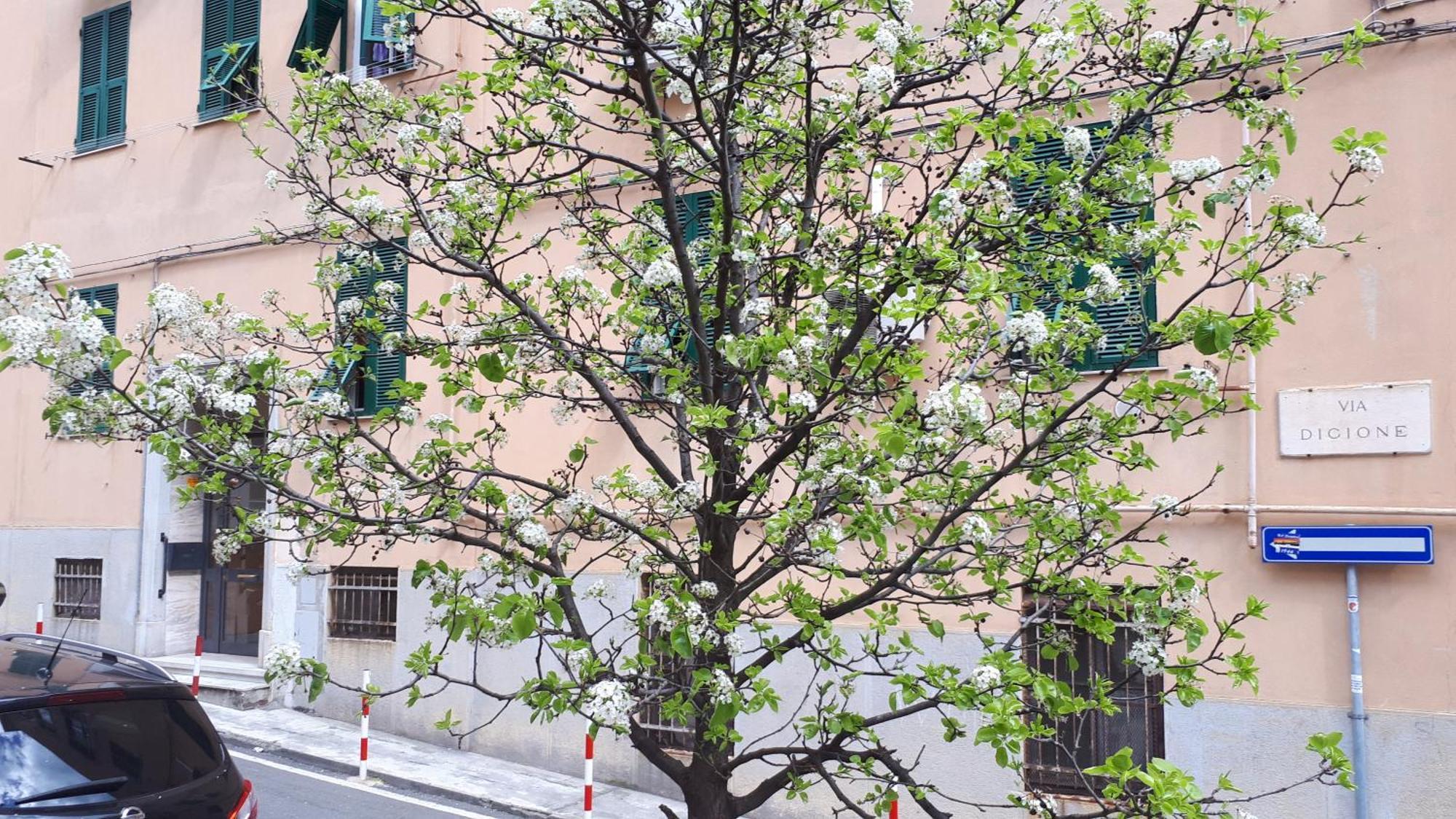 Ca'saetta - Park & Go To Aquarium And Old Town * Genova